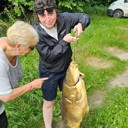 Vila Entire House By The For Upto 30 Guests Leleszki